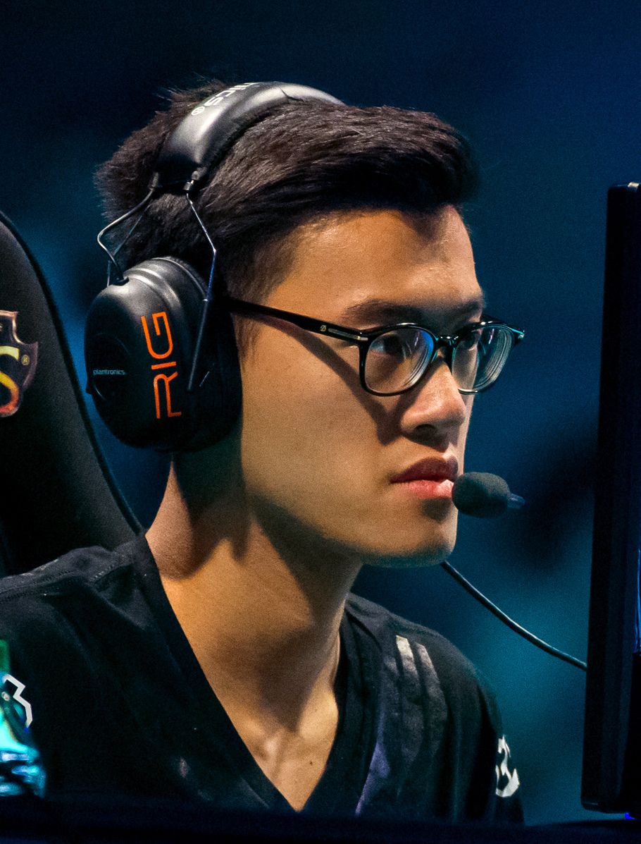 WildTurtle