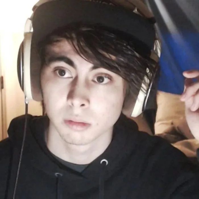 LeafyIsHere