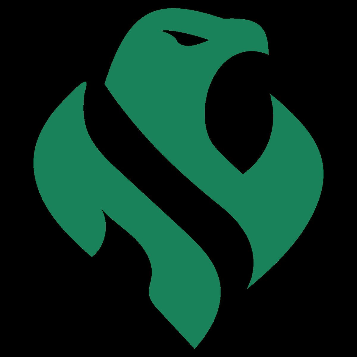 Riyadh Falcons